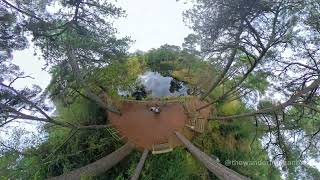 Bystock Pools Nature Reserve Exmouth Devon