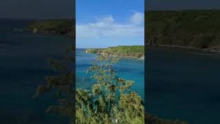 Honolua Bay, Maui