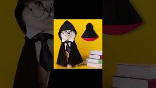 Disfraz Harry Potter para Mascotas #amazon #tendenciaglobal #halloween