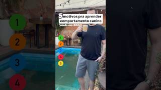 Quem trabalha na área pet precisa saber!