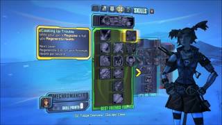 Borderlands 2 Mechromancer Class Gaige