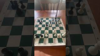 Chess Brilliancy (Queen Sacrifice)