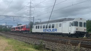 Stadler RBDea 567 mit CJ Transport