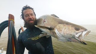 Team RIFFE Spearfishing WHITE SEA BASS - Diving for Rock Scallops and Sea Urchins (Uni)