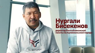 Нургали Бисекенов - Аулиеколь  экономическая выгода в работе с породой