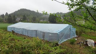 homemade greenhouse with wood, concrete and steel pipe