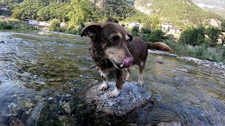 Lungo il Fiume Astico... Pace, Natura e Famiglia