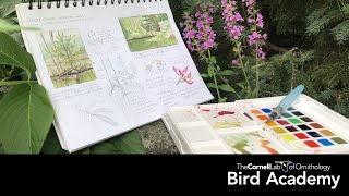 Nature Journaling  Field Sketching