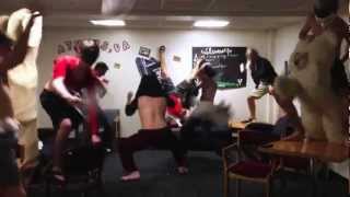 HARLEM SHAKE original - Best of the best compilation!