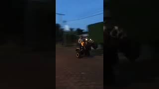 Can am renegade 1000 wheelie