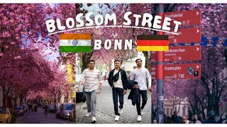 Blossom Street Bonn | German-TV Me Finally A Gaya | Indians🇮🇳In Germany 🇩🇪 | Mini Vlog- April