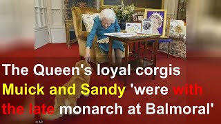 The Queen's loyal corgis Muick and Sandy 'were with the late monarch at Balmoral'