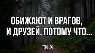 Жаль, что я не знал этого раньше... Мудрые цитаты на все случаи жизни!