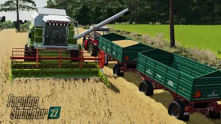 ✅ŻNIWA PSZENICY CZ 2 🌾#fs22 🌎OSTATNI ODCINEK