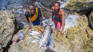 Sweet Catch Today While Spearfishing Black & Bar Jack, Mackerel And Barracudas