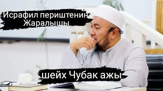 Исрафил периштенин жаралышы //шейх Чубак ажы #насаатмедиа #ислам