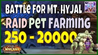 WoW 6.2.3 Battle for Mt. Hyjal Gold Farming Guide 250 - 20000, WoD Gold Pet Farm