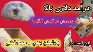 پارتیشن بندی و ساخت محوطه خرگوش