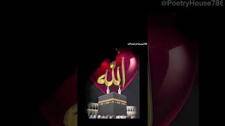 Beautiful Allah name Status  allah name 💓😍 status part 147 #allah #ytshorts #islamicstatus