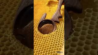 Viral Honey Extraction Natural Superfood #shorts