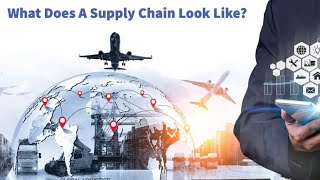 What Does A Supply Chain Look Like?