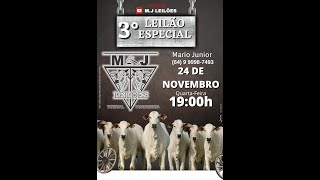 LEILÃO ESPECIAL  M.J. LEILÕES  📌 DIA 24/11/21 ÀS 19:00 HS