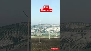 City tour of fez Morocco #fezmorocco #shortvideo #viralvideo