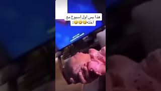 اول اسبوع له مع المولود الجديدة