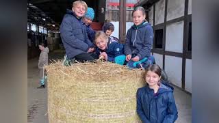 Hof Waldersee: Reiterferien für Kinder und Jugendliche in der Lüneburger Heide