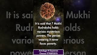 Seven Mukhi Rudraksha – 7 Faced Rudraksha