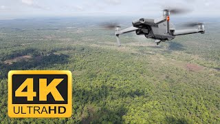 4K Video | Forest cover in Cambodia | Earth's lungs