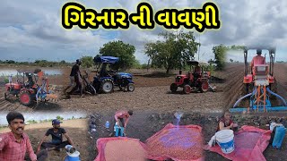 ગિરનાર ચાર (૪) ની વાવણી || Village life