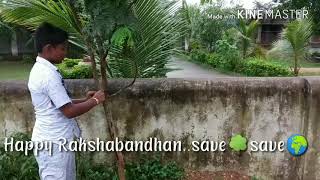 Happy Rakshabandhan..save 🌳save 🌍