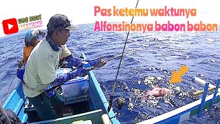 Gila‼️ Mancing Jigging di Rumpon Alfonsino Hasilnya Babon Semua