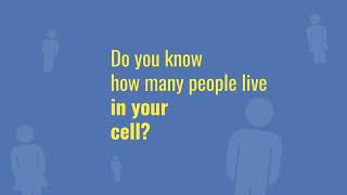 Which cell do you live in?