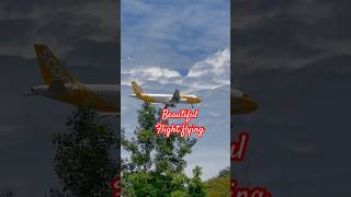 Beautiful flight flying Video/#viralvideos #shortsvideos #youtubeshorts #tendingvideo #flight #fly