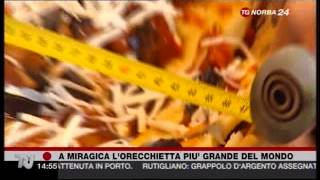 A Miragica l'orecchietta più grande del mondo