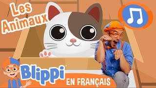 La Chanson des animaux | 🎵Blippi en Français -  Chansons pour enfants