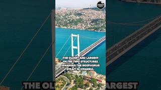 Most Unbeliveable Bridges In The World | #discovery #shorts #viral #education #explore #amazingfacts