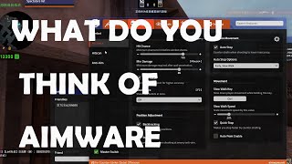 What do you think of AIMWARE?Interview old AIMWARE players