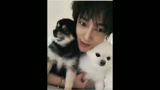 Yesung genuine love for Kkoming and Melo 💙