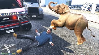 GTA V FUNNY MOMENTS WITH BEST CARS DRIVING