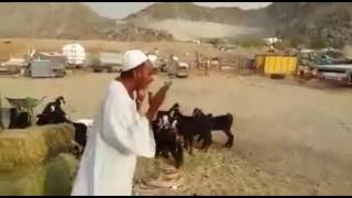 اضحك مع السوداني كسر التلفون عشان الفلوس