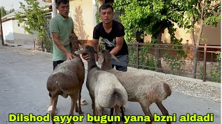 Siz bilmagan narsani bugun bildig #xisori #qozilar #live #shortvideo #kazakhstan