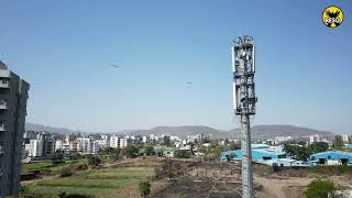 Rescuer climbs 65ft telecom tower to rescue a black kite | RESQ CT, Pune 2023