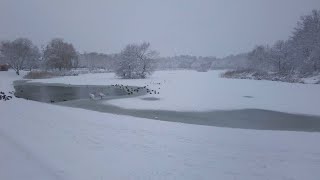 |4K| Снежная прогулка в Калининграде. Летнее озеро. / Snow walk in Kaliningrad. Summer Lake