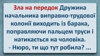 💠 Злюча на Передок Дружина Начальника Колонії! Українські Анекдоти та Українською! Епізод #351