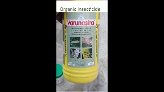 Organic Insecticide | Modern Kheti  ਆਰਗੈਨਿਕ ਕੀੜੇਮਾਰ ਦਵਾਈ | ਮਾਡਰਨ ਖੇਤੀ