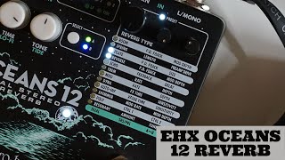 EHX OCEANS 12 PLATE + REVERSE REVERB DEMO