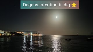 Dagens intention til dig ⭐